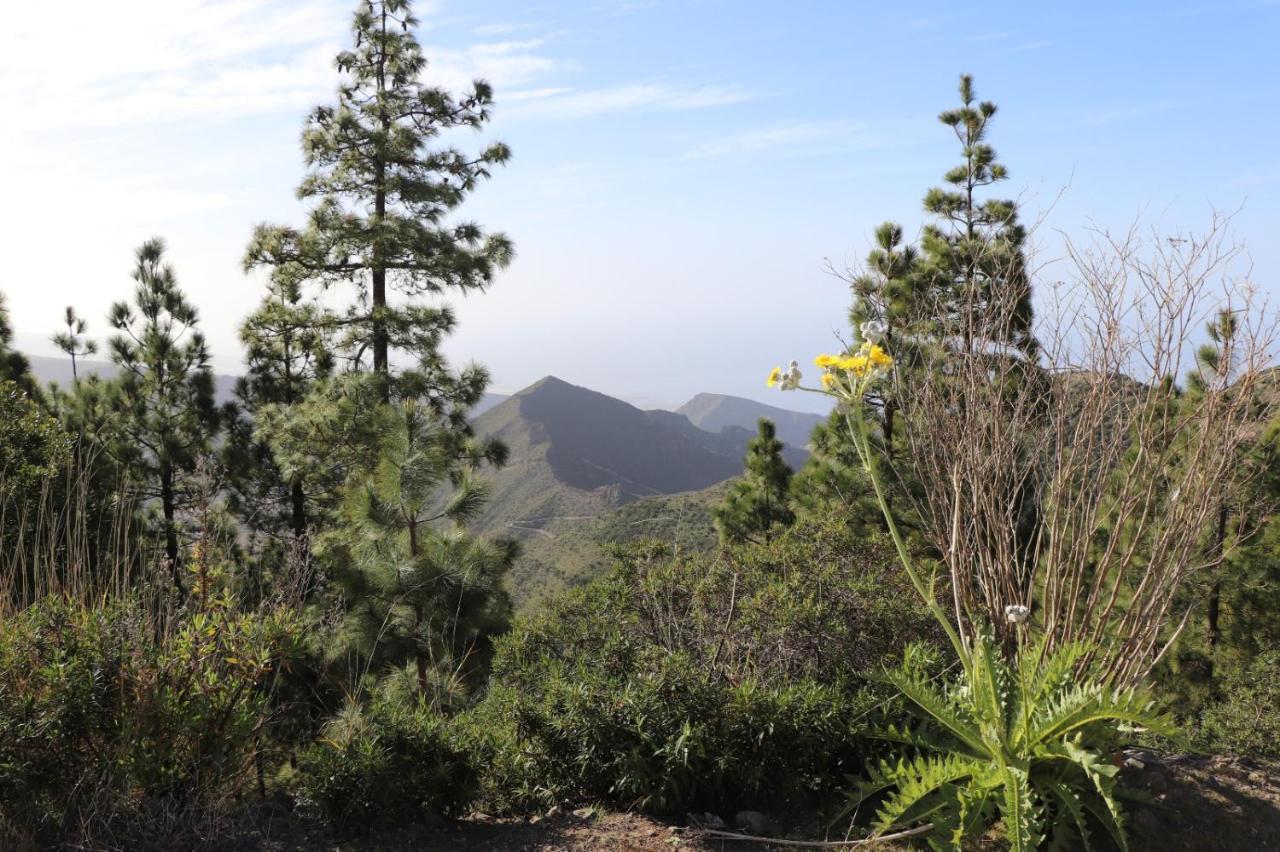 Traditional Canarian Home With Fantastic View Santiago del Teide Esterno foto